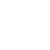 VIVO-2